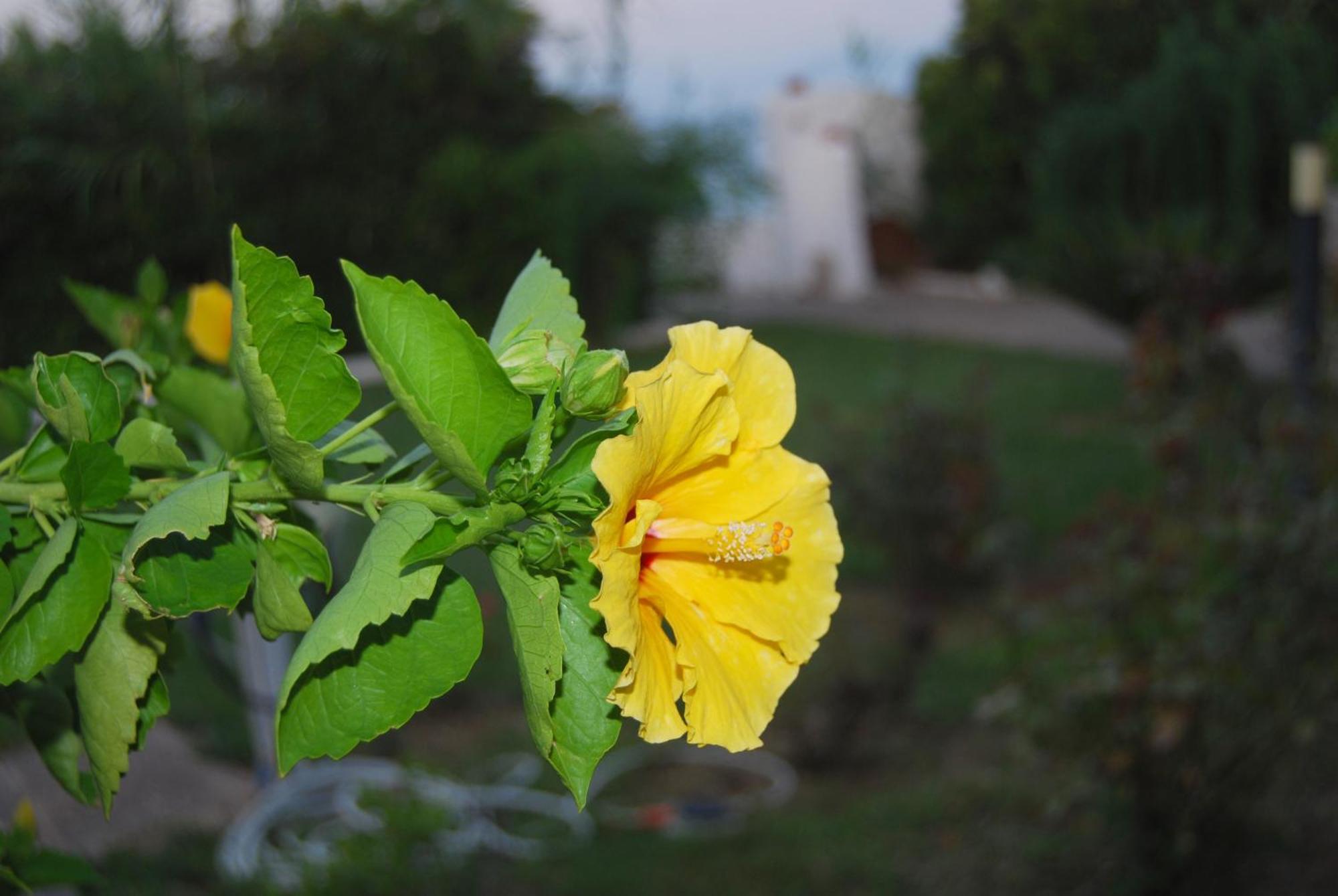 Villa Akrata Luaran gambar